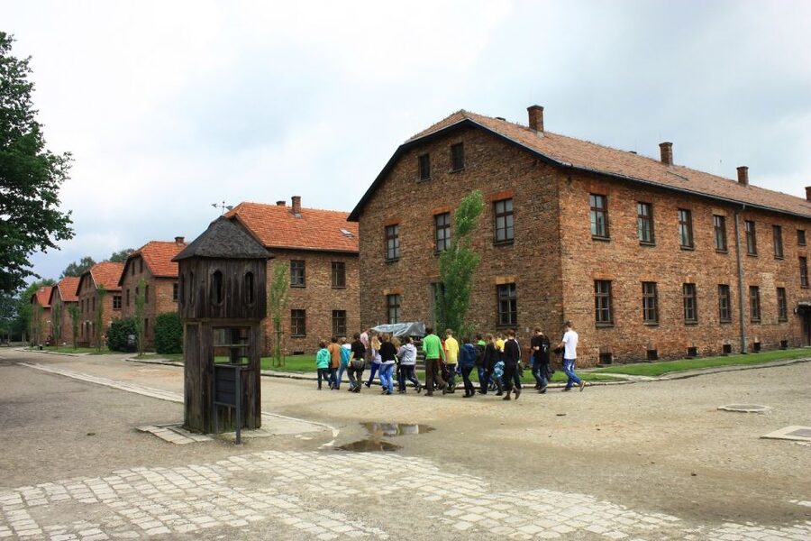 Auschwitz-Birkenau and Krakow Private Car Trip from Katowice - Should you book this Auschwitz-Birkenau and Krakow private car trip from Katowice?