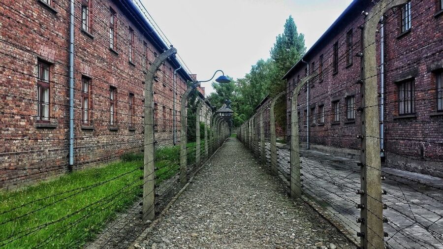 Auschwitz-Birkenau and Krakow Private Car Trip from Katowice - Price and logistics: why $353 can be fair for this kind of day