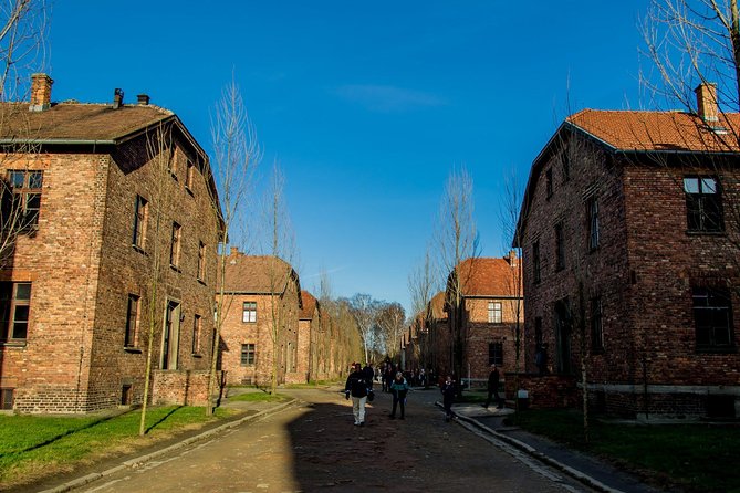 Auschwitz Birkenau and Salt Mine Full Day Guided Tour from Krakow hotel pick up - Key highlights at a glance