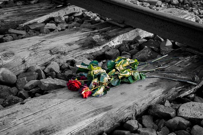 Auschwitz Birkenau and Salt Mine Full Day Guided Tour from Krakow hotel pick up - Price and value: what $180.27 buys you in a full day