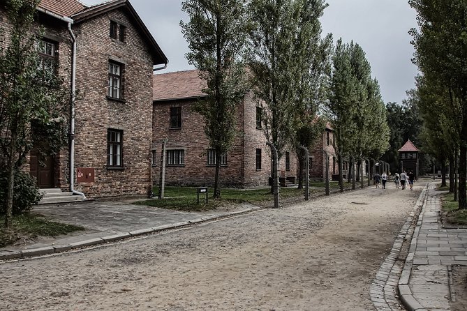 Auschwitz- Birkenau and Salt Mine in Wieliczka in one day with private transport - How the Auschwitz pacing works on a packed day
