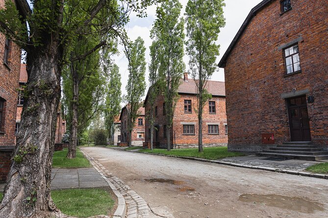Auschwitz Birkenau and Wieliczka Salt Mine Day Tour from Krakow - Auschwitz-Birkenau visit 2: Birkenau’s scale and why one hour matters