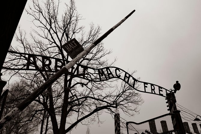 Auschwitz-Birkenau and Wieliczka Salt Mine Day Tour from Krakow with private car - Key points to know before you go