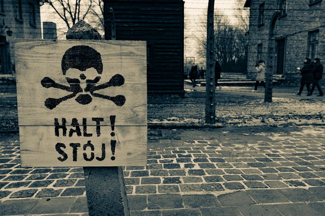 Auschwitz-Birkenau and Wieliczka Salt Mine Day Tour from Krakow with private car - Realistic expectations: how long days can feel rushed