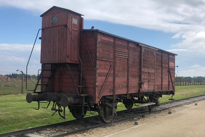 Auschwitz-Birkenau and Wieliczka Salt Mine Museum Guided Tour from Krakow - Who this tour is for, and who should reconsider
