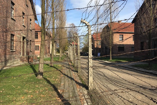 Auschwitz-Birkenau Day Tour from Wroclaw - Oświęcim time window and the return drive to Wroclaw