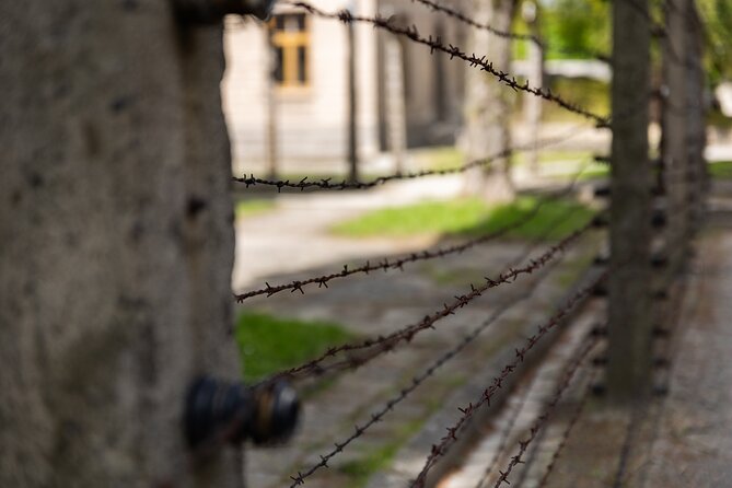 Auschwitz-Birkenau: Day Trip & Transfer from Kraków - Comfort, weather, and the unglamorous realities of outdoor walking
