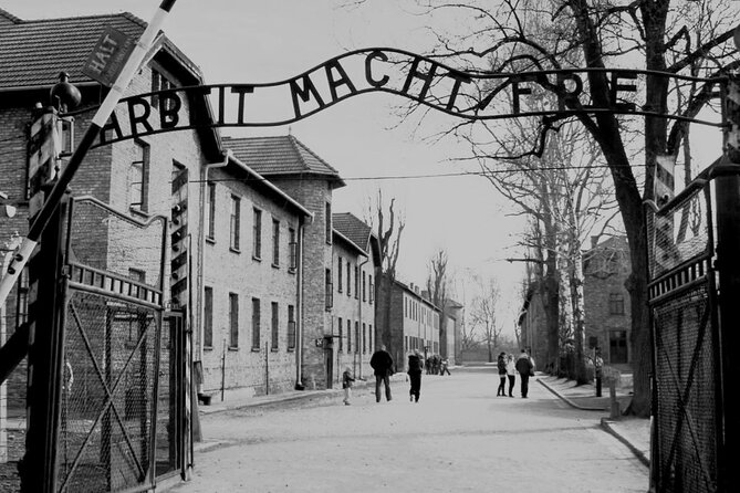 Auschwitz-Birkenau Guided Shared Tour from Krakow - The shared van setup, and why the small details matter