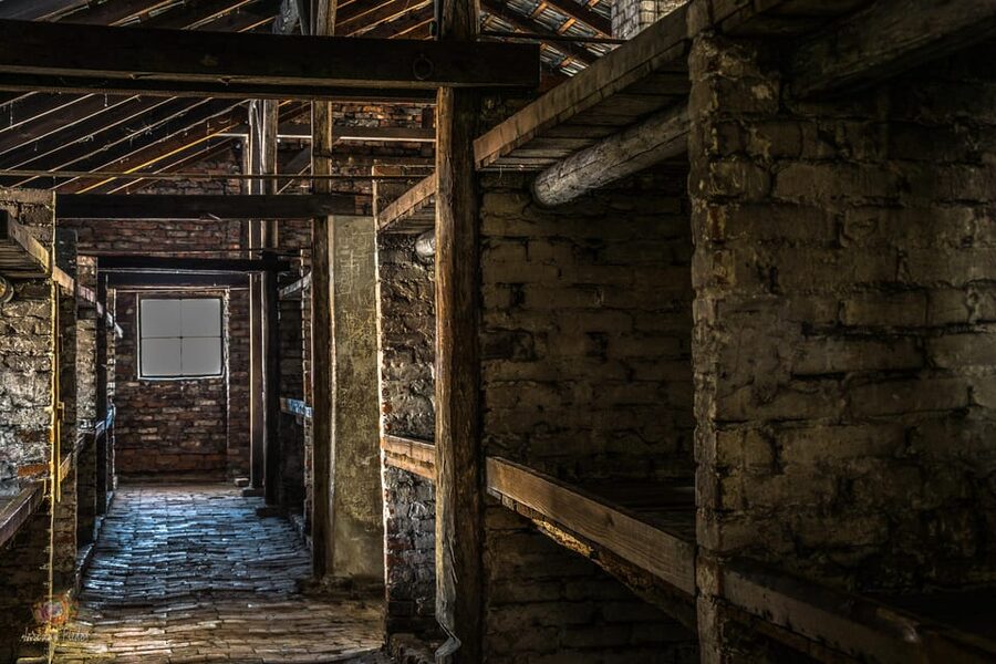Auschwitz-Birkenau: Guided Tour and Skip-The-Line Ticket - Value check: what $10 gets you (and what you still need to budget)