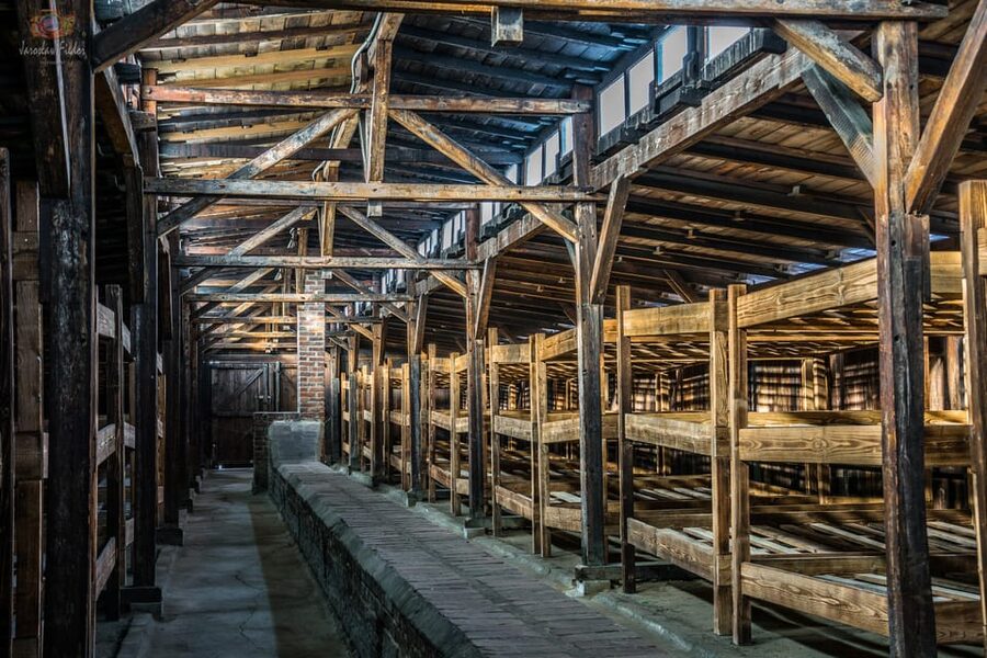 Auschwitz-Birkenau: Guided Tour and Skip-The-Line Ticket - Timing expectations: 210 minutes, a fixed schedule, and the reality of group flow