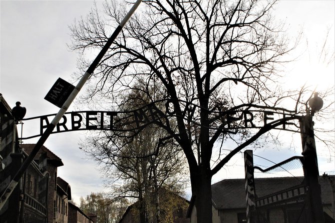 Auschwitz-Birkenau Guided Tour by Private Transport from Krakow - Who should book this, and who should reconsider