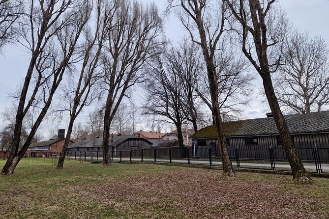 Auschwitz-Birkenau Guided Tour from Krakow opt. with Hotel Pickup - The guide experience: why the best ones make the day bearable