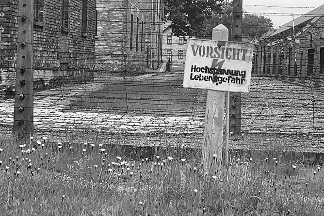 Auschwitz-Birkenau guided tour from Krakow - private car - Practical tips for a day this heavy, and still doable