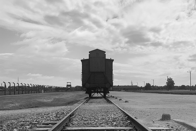 Auschwitz-Birkenau guided tour from Krakow with a private transport - Who this Auschwitz-Birkenau tour suits best