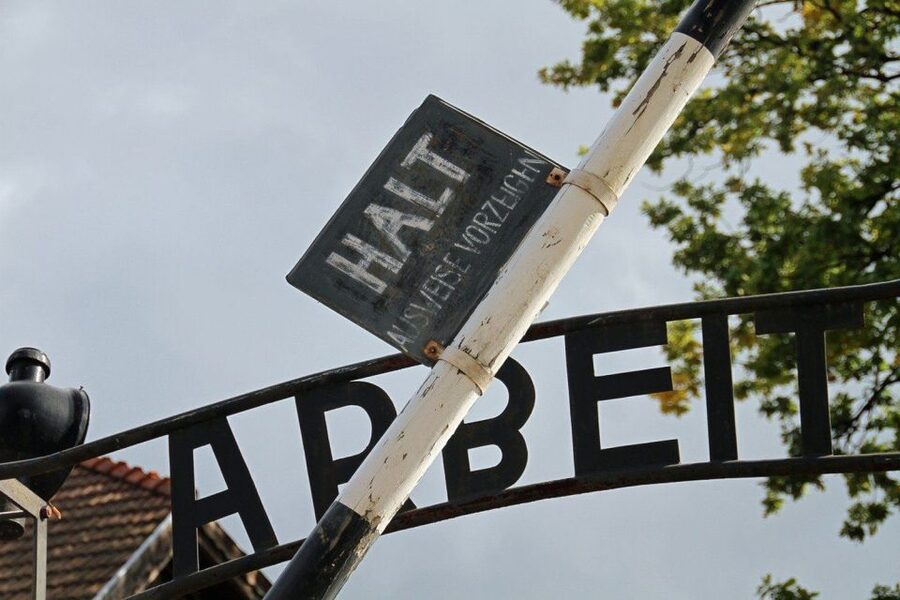 Auschwitz-Birkenau Guided Tour & Transfer from Krakow - Key things that make this tour work