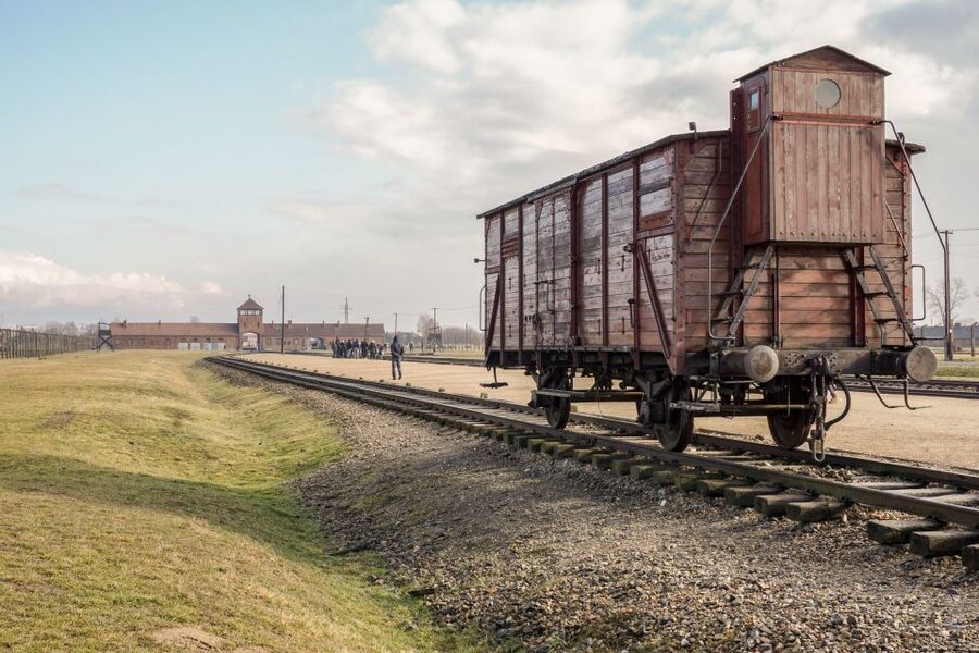 Auschwitz-Birkenau Guided Tour & Transfer from Krakow - Auschwitz II-Birkenau: walking the largest site of extermination