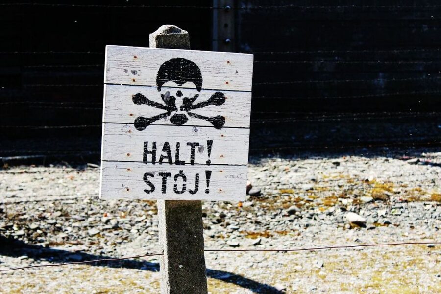 Auschwitz-Birkenau Guided Tour & Transfer from Krakow - How the English guide style helps you follow the day