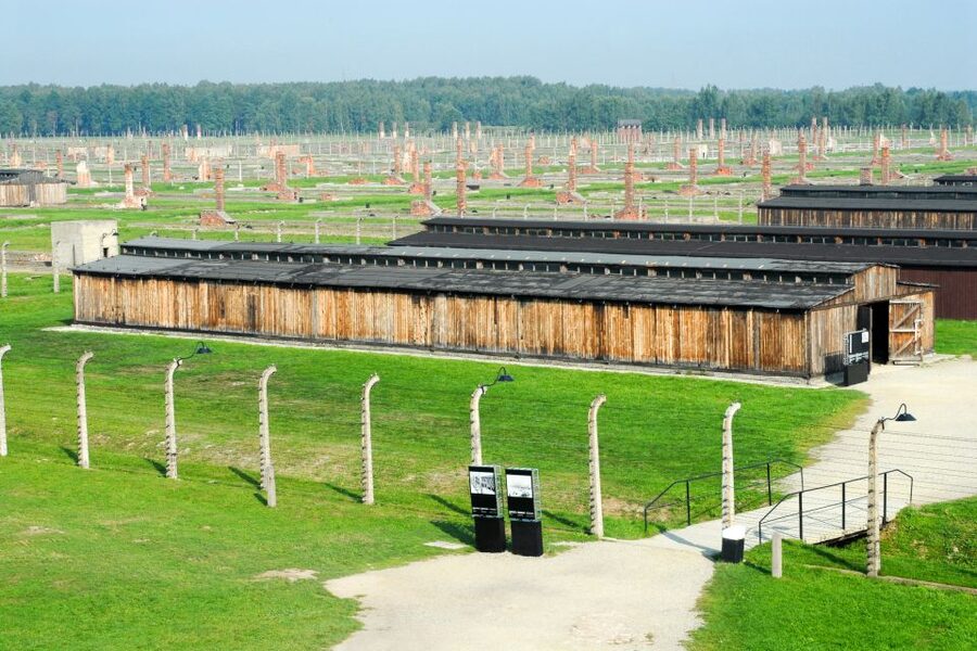 Auschwitz-Birkenau Guided Tour & Transfer from Krakow - Breaks, coffee stops, and the real rhythm of a heavy day