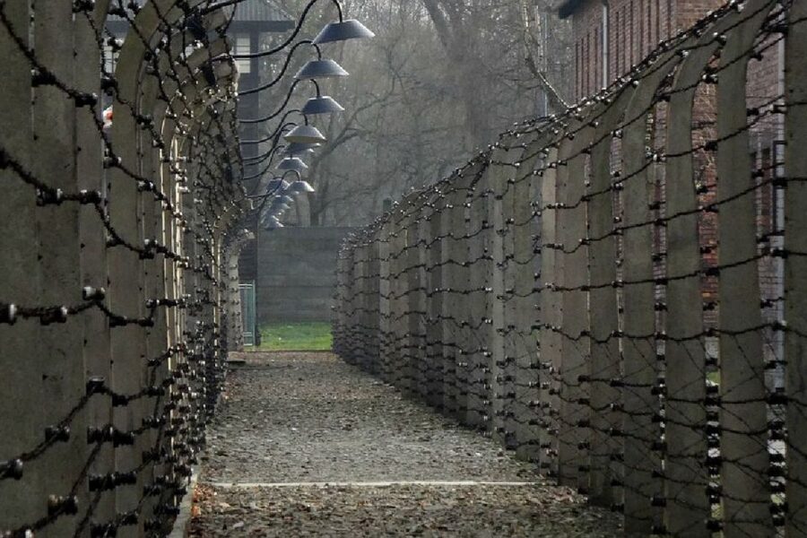 Auschwitz-Birkenau Guided Tour & Transfer from Krakow - The value of paying for “guided, skip-the-line” instead of doing it alone