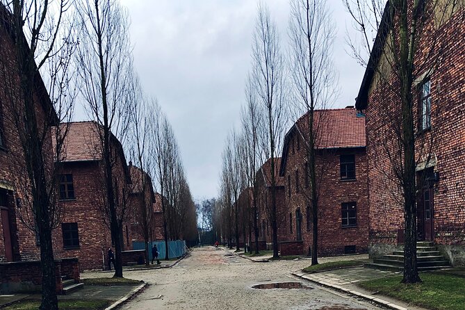Auschwitz-Birkenau Guided Tour with Private Transport from Krakow - Who this tour fits best, and who should rethink it