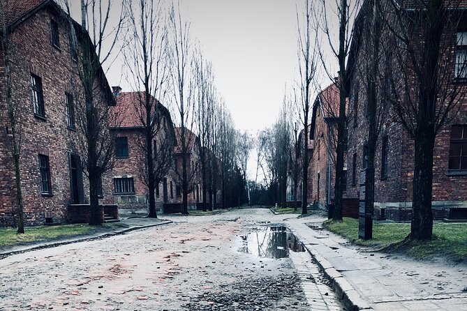 Auschwitz-Birkenau Guided Tour with Private Transport from Kraków - The museum visit at Panstwowe Muzeum Auschwitz-Birkenau