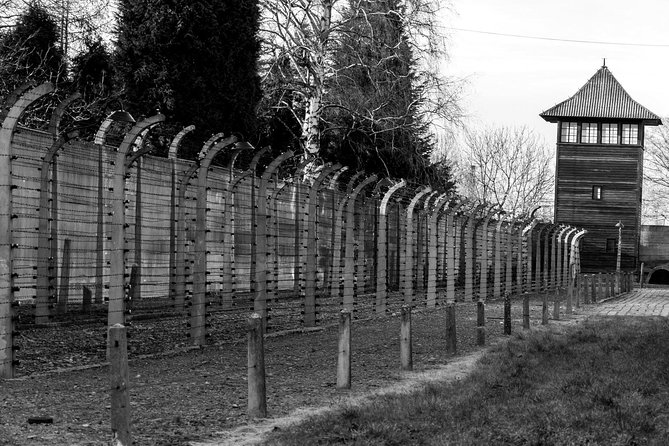 Auschwitz Birkenau Guided Tour with Ticket Hotel Pickup Small Van - Price and Logistics: What You Really Get for $32.65