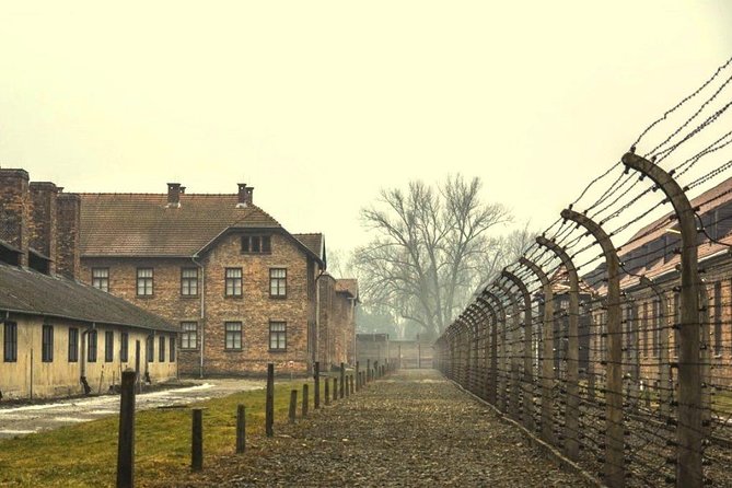 Auschwitz Birkenau Memorial and Museum group tour from Krakow - Transportation and comfort: modern vehicle, smooth coordination