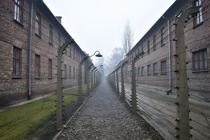 Auschwitz-Birkenau Memorial and Museum Guided Tour from Krakow - Why This Krakow Day Trip Works Better Than Going Solo