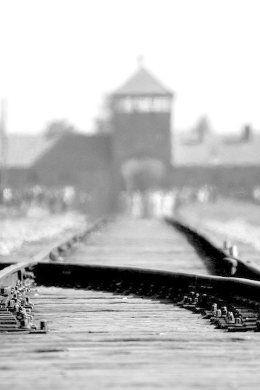 Auschwitz-Birkenau: Memorial Entry Ticket and Guided Tour - Getting to the meeting point at Auschwitz I, right by the gate