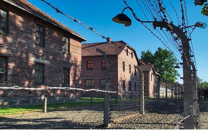Auschwitz-Birkenau Museum and Memorial Guided Tour from Krakow - Guide style: what makes the difference on a site like this