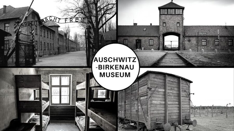 Auschwitz-Birkenau: Museum Entry Ticket with Guided Tour - Key points before you go
