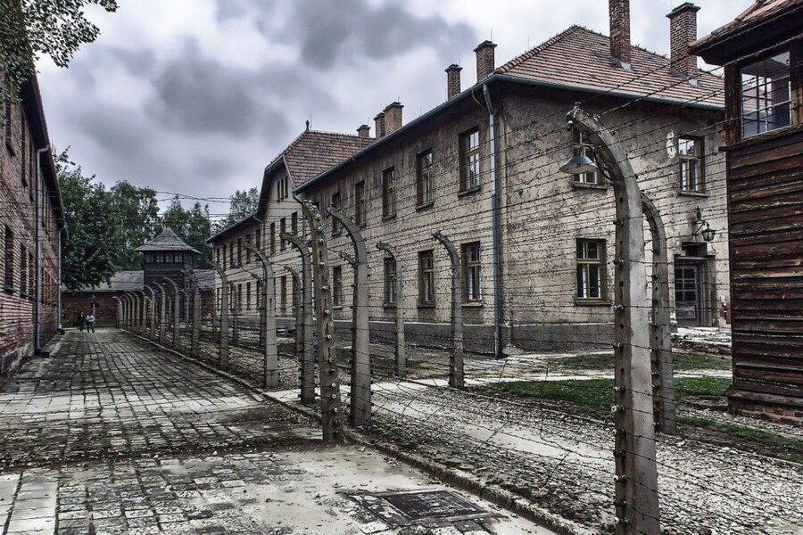 Auschwitz-Birkenau: Museum Entry Ticket with Guided Tour - Auschwitz II-Birkenau: railway access and the ruins you cannot forget