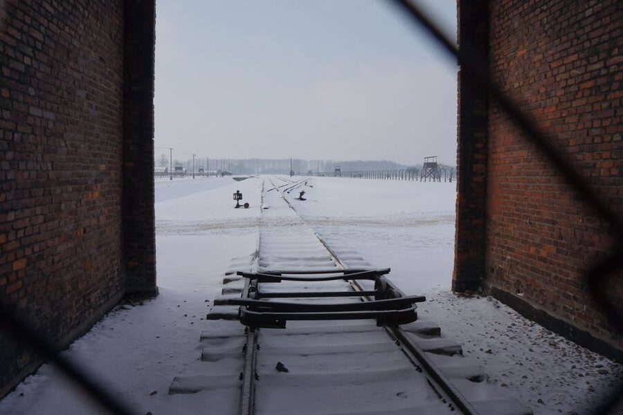 Auschwitz-Birkenau: Museum Entry Ticket with Guided Tour - When the day feels rushed: managing the memorial’s pace
