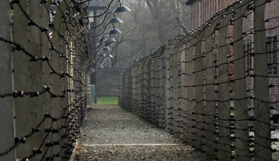 Auschwitz-Birkenau Private Tour from Katowice & Transport - Accessibility: Wheelchairs Are Available, But You Must Reserve