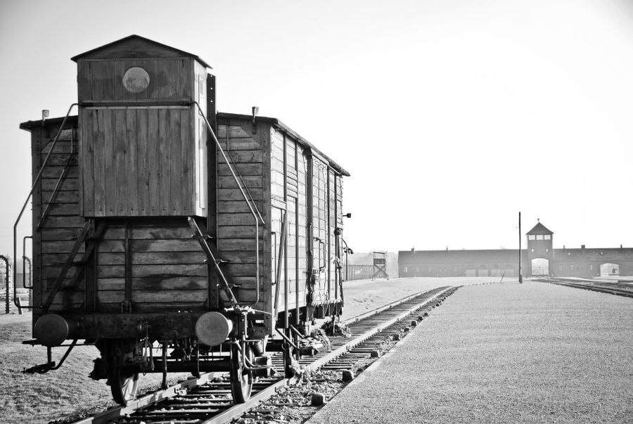 Auschwitz-Birkenau Private Tour from Katowice & Transport - Timing Matters: No Lunch Break and a Remote Location