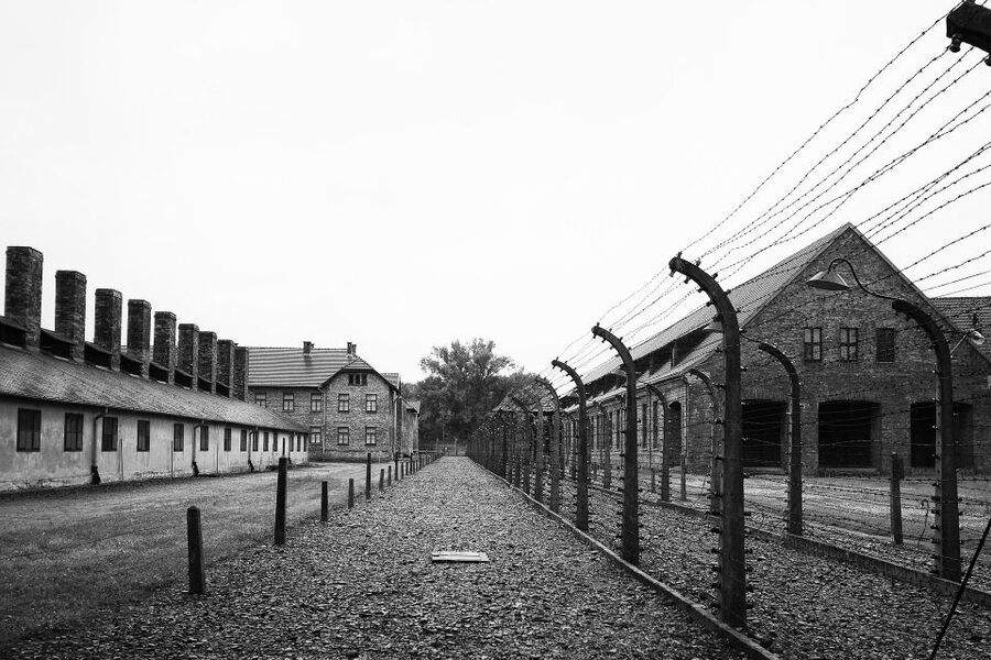 Auschwitz-Birkenau Private Tour from Katowice & Transport - Entry, ID Checks, and What Limited Tickets Can Change