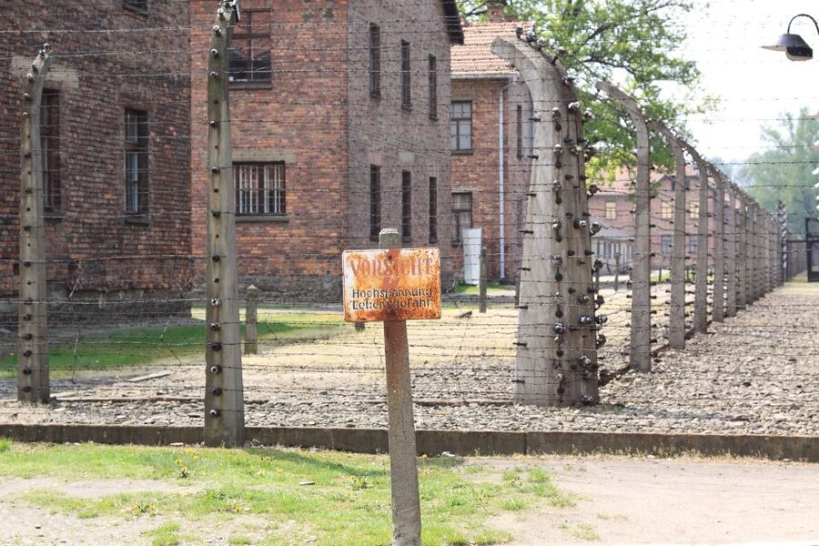 Auschwitz-Birkenau Private Tour from Katowice & Transport - Price of $288 Per Person: Where the Money Goes