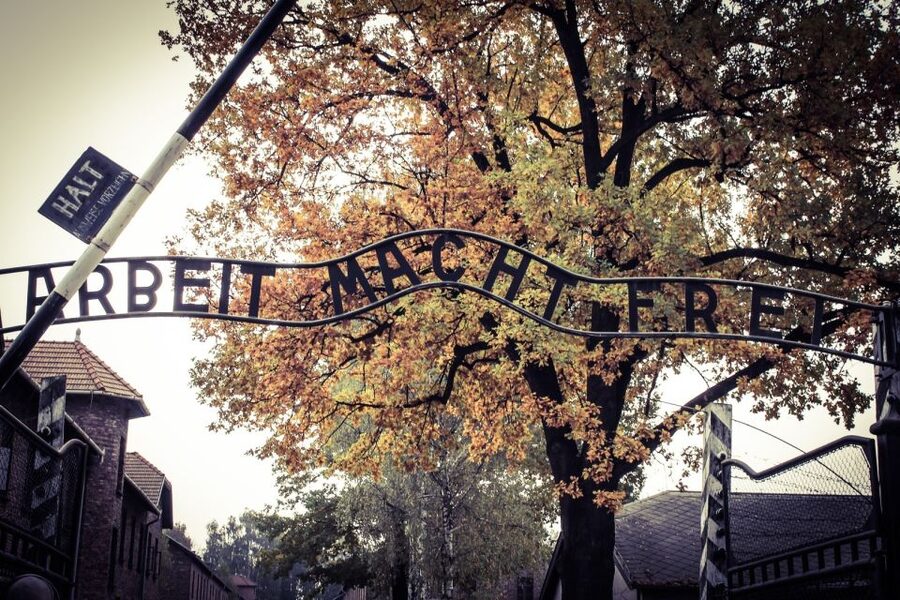 Auschwitz-Birkenau Private Tour from Katowice & Transport - The 3.5-Hour Licensed Guide Makes the Site Make Sense