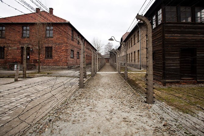 Auschwitz-Birkenau & Salt Mine Day tour - Should you book this Auschwitz-Birkenau and Salt Mine day tour?