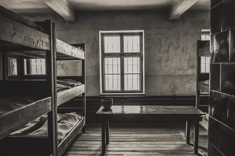 Auschwitz-Birkenau & Salt Mine Tour in One Day from Krakow - Auschwitz-Birkenau: What the Guide Helps You Hold in Your Head