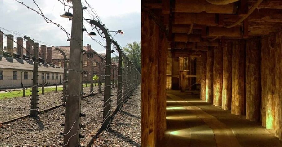 Auschwitz-Birkenau & Salt Mine Tour in One Day from Krakow - Wieliczka Salt Mine: The Most Scenic Kind of Cold