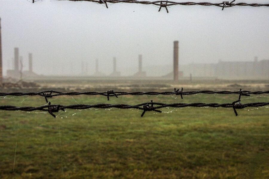 Auschwitz-Birkenau: Skip-the-Line Entry Ticket & Guided Tour - Skip-The-Line Auschwitz Entry: What It Really Changes