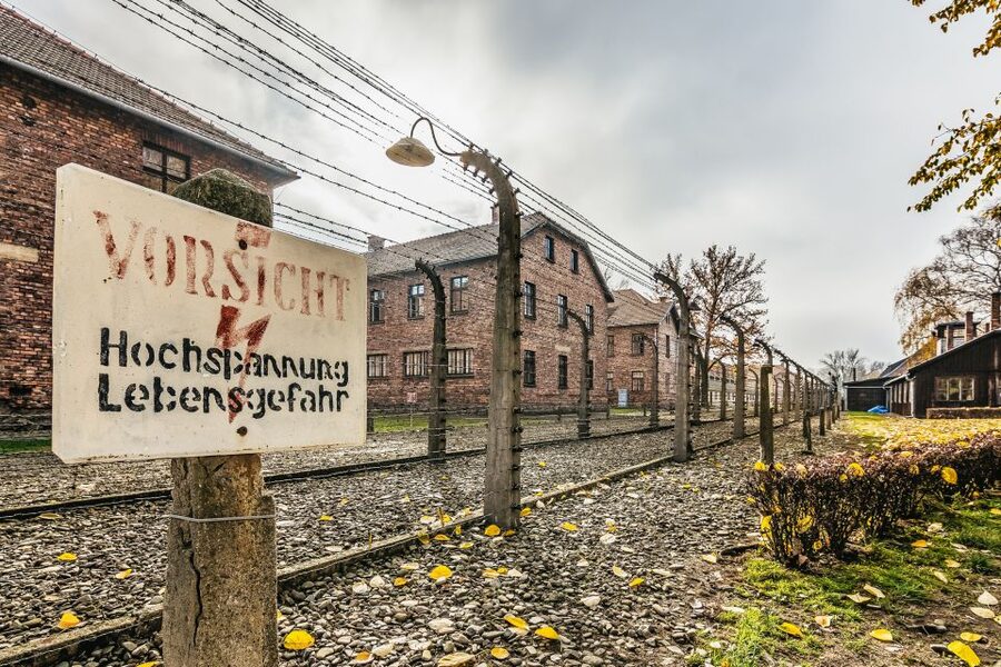 Auschwitz-Birkenau: Skip-the-Line Entry Ticket & Guided Tour - What to Bring (and Leave Home): Your Packing List for Auschwitz