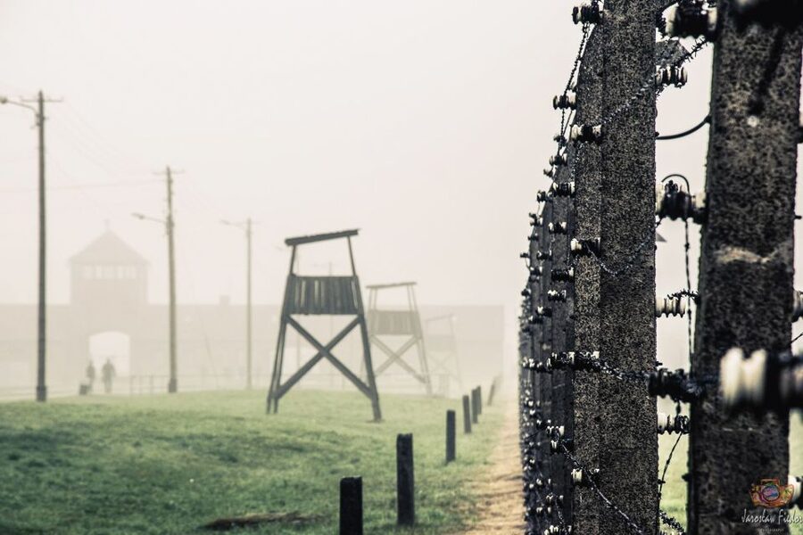 Auschwitz-Birkenau: Skip-the-Line Entry Ticket & Guided Tour - Birkenau (Auschwitz II): Seeing the Scale of the System
