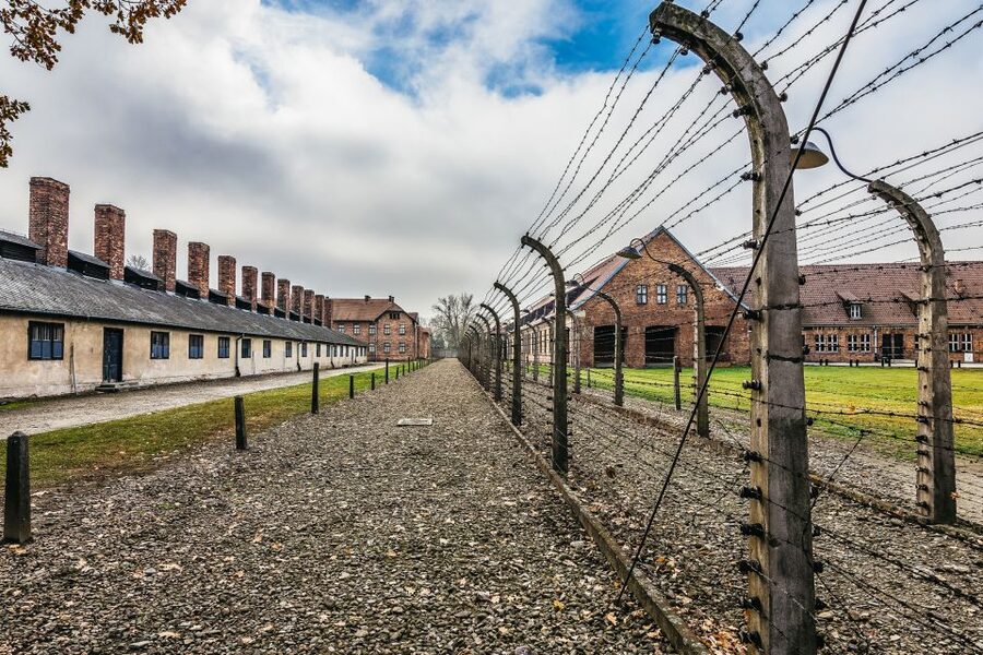Auschwitz-Birkenau: Skip-the-Line Entry Ticket & Guided Tour - Guide Quality, Headsets, and Pacing: How the Tour Stays Usable