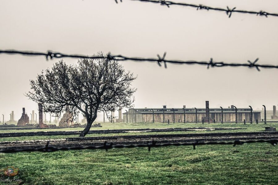 Auschwitz-Birkenau: Skip-the-Line Entry Ticket & Guided Tour - Arriving, security, and finding your group fast
