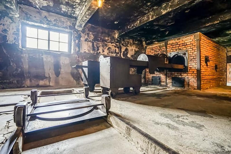 Auschwitz-Birkenau Skip-the-Line Guided Tour - Auschwitz I: When the Museum Explains the Machine