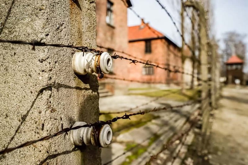 Auschwitz-Birkenau Skip-the-Line Guided Tour - Transfer Break: Use the 15 Minutes to Reset