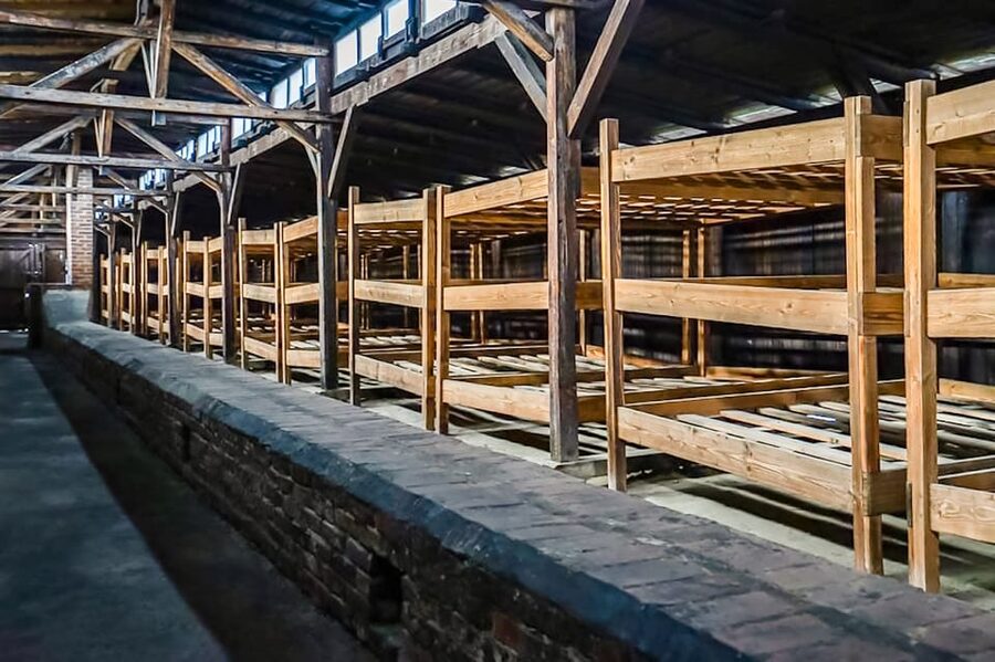 Auschwitz-Birkenau Skip-the-Line Guided Tour - Practical Tips: Passport, What Not to Bring, and Dressing for the Day