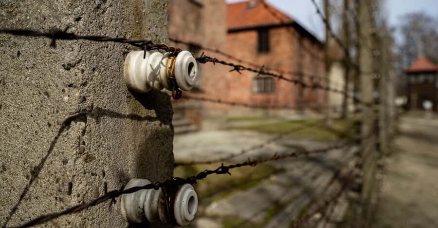 Auschwitz-Birkenau Skip-the-Line Ticket and Guided Tour - The official guide setup: headsets, group size, and pacing